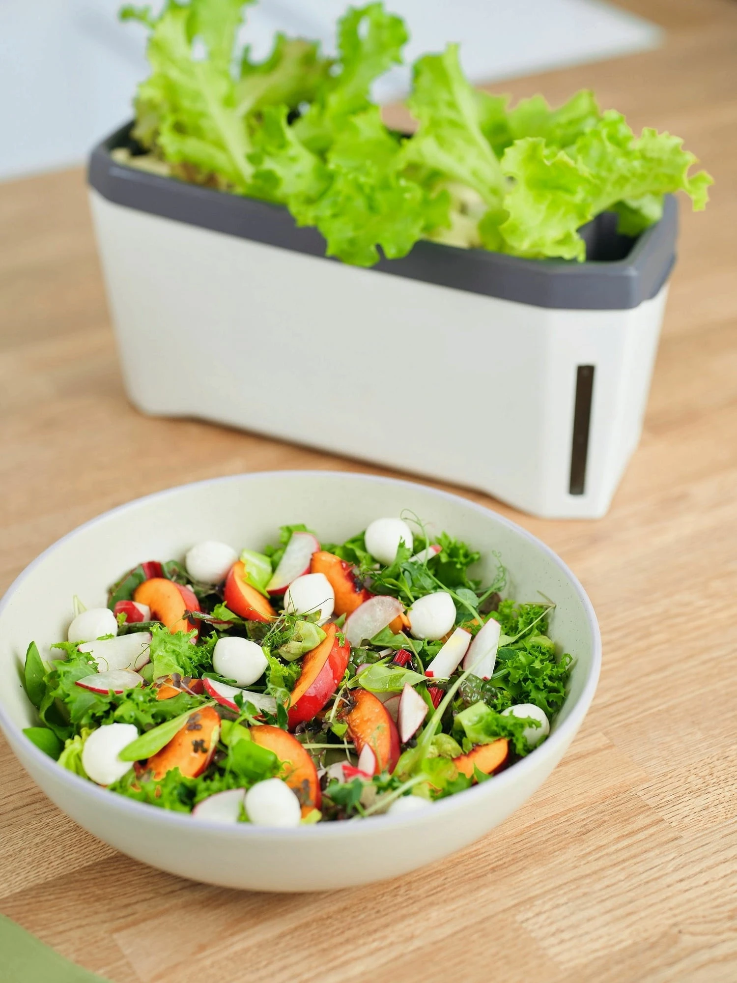 Harry Herbs Kräutertopf - Mit Haube, Weiß – Bild 2