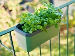 Harry Herbs Kräutertopf - Ohne Haube, Dunkelgrün