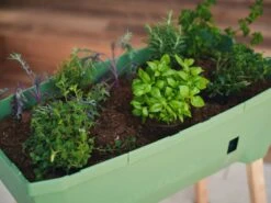 Sammy Salad Hochbeet - Ohne Haube, Dunkelgrün