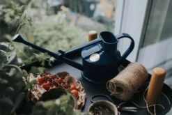 Indoor-Gießkanne "The Langley Sprinkler" - 0.7 L, Blau