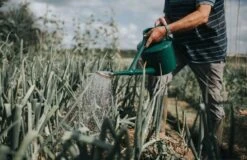 Outdoor-Gießkanne "The Cradley Deluxe" - 7 L