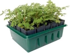 Anzuchtschale "Compact Rootrainers"