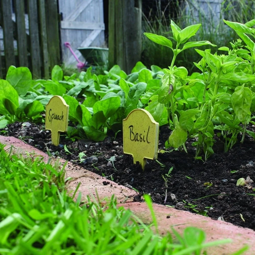 Bambus-Pflanzschilder – Bild 7