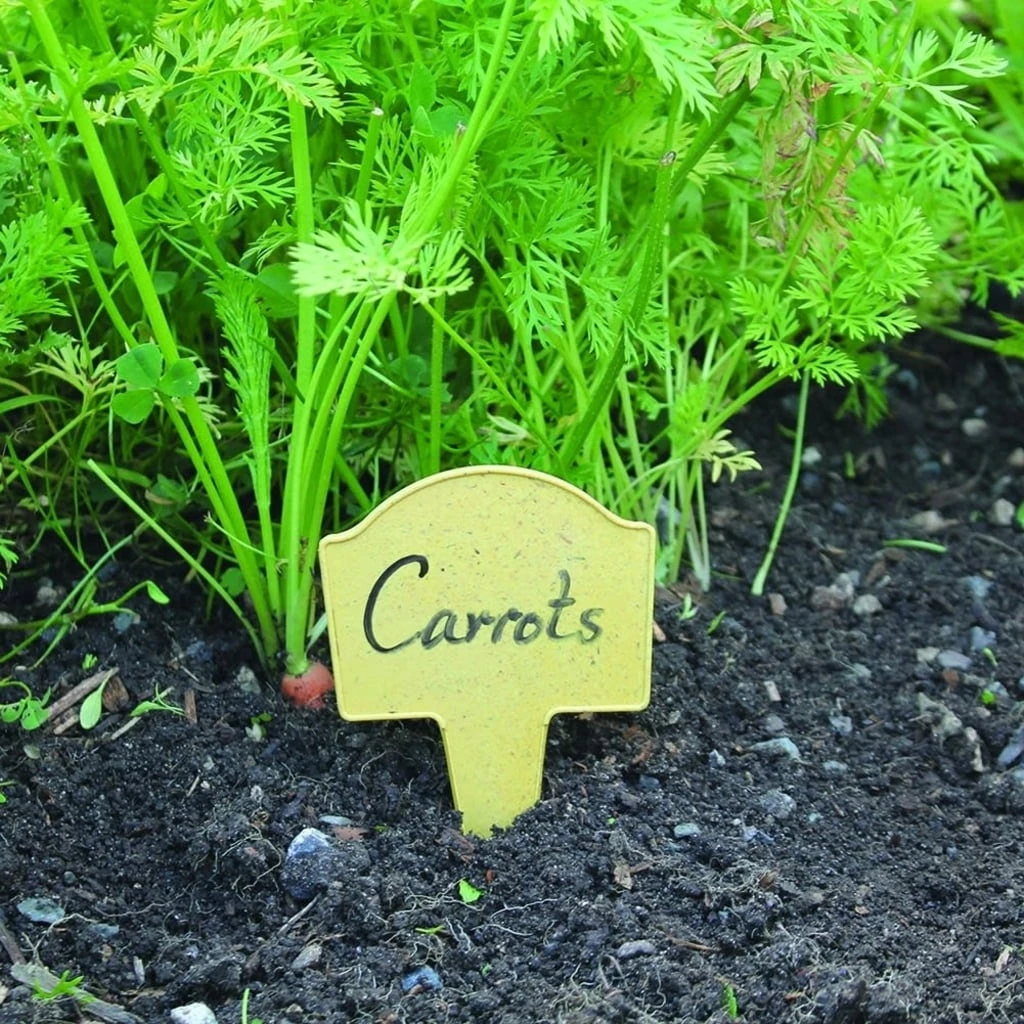 Bambus-Pflanzschilder – Bild 6