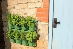 Hängender Kräutergarten