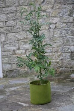 Vigoroot Pflanztaschen Im 3er Set, 5 L (3 Stück)