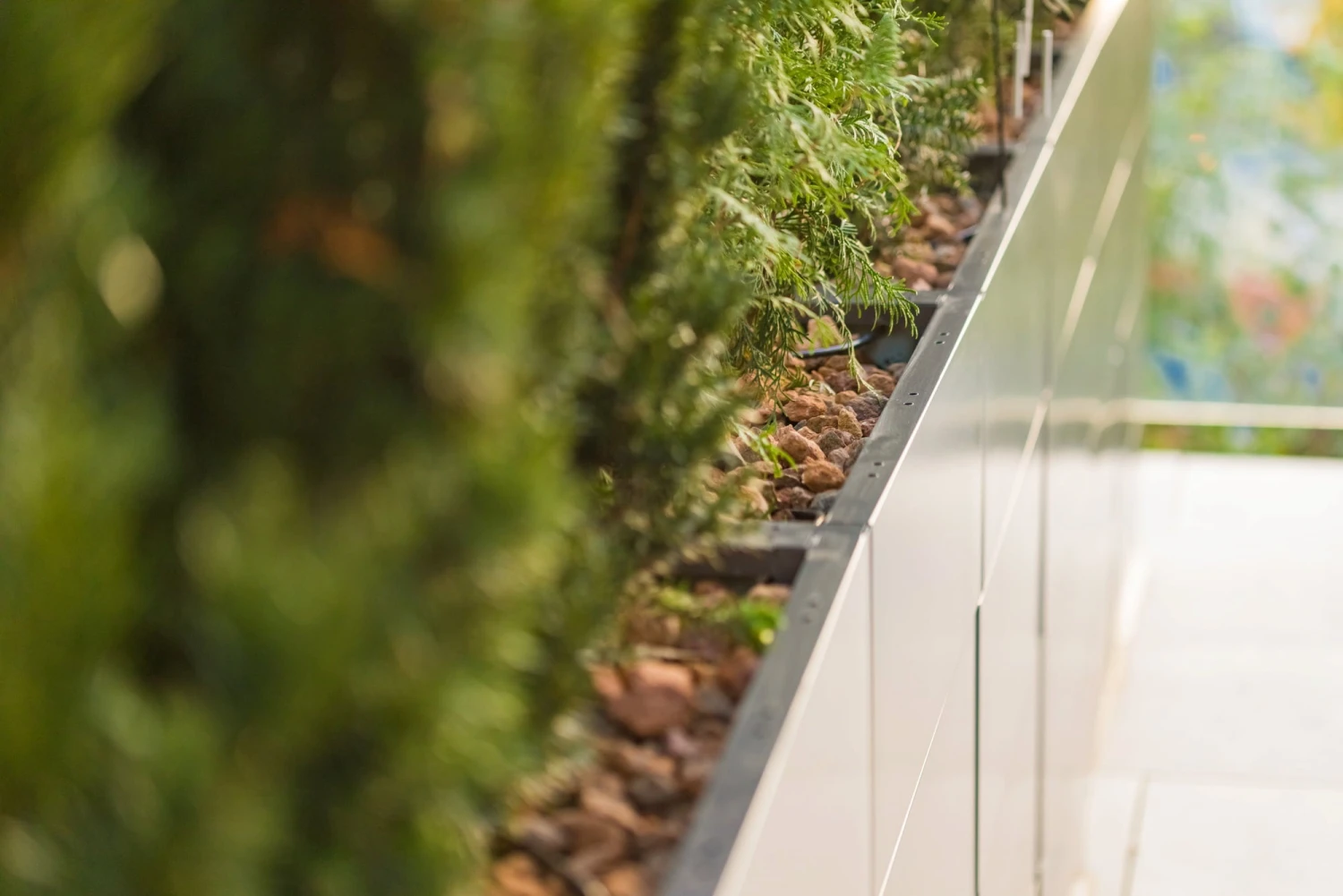 Beetrahmen Klein-Groß 2 Ringe Inklusive Boden – Bild 7