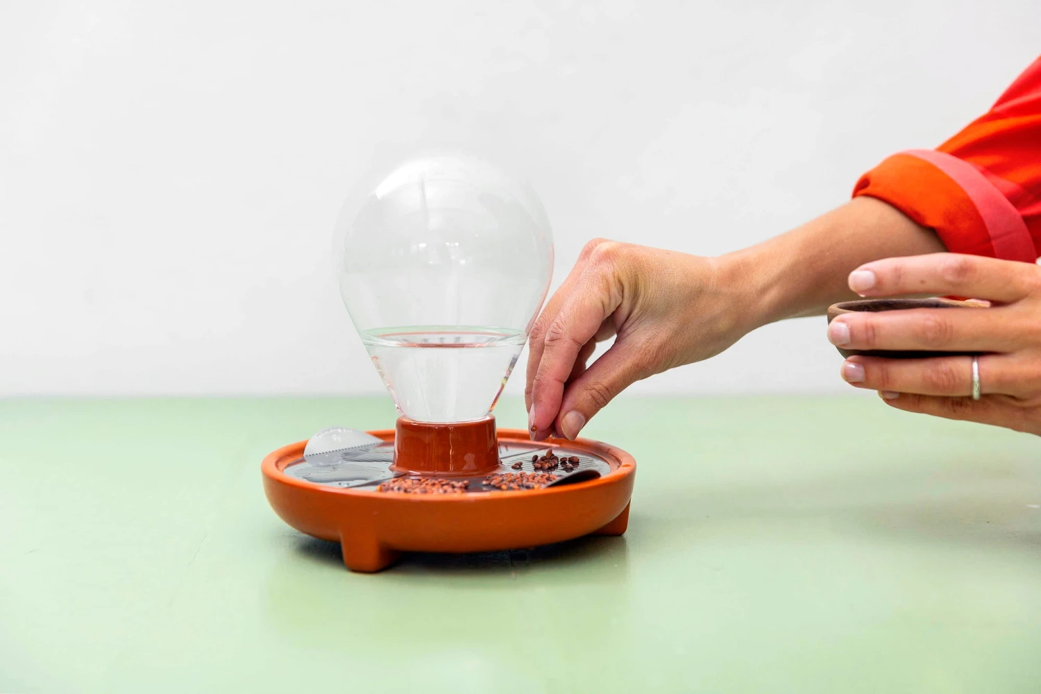 "Patella Crescenda" - Natürliches Keimset – Bild 11