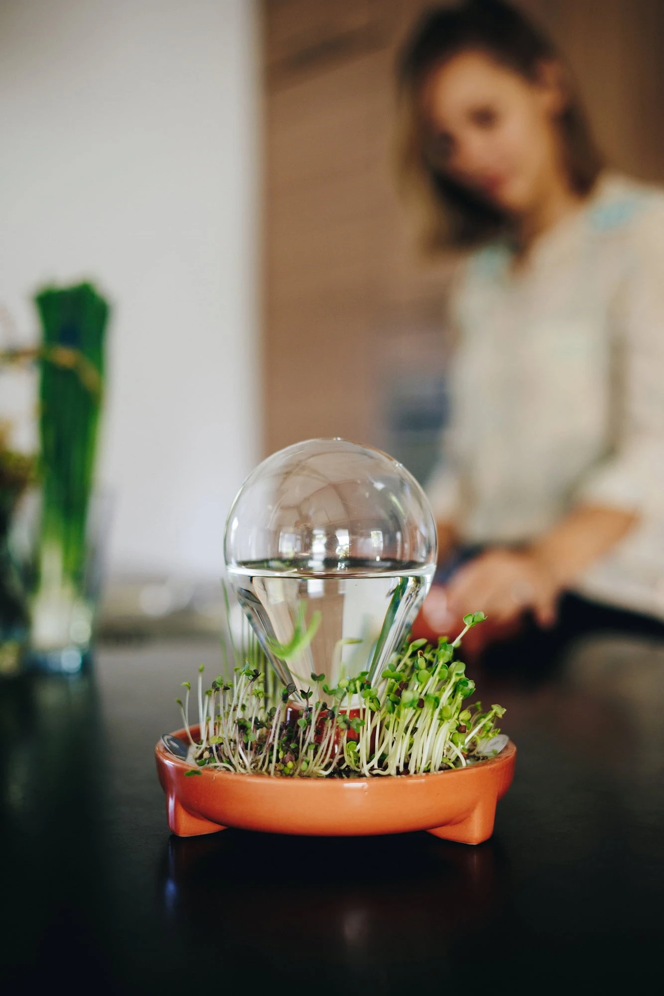 "Patella Crescenda" - Natürliches Keimset – Bild 14