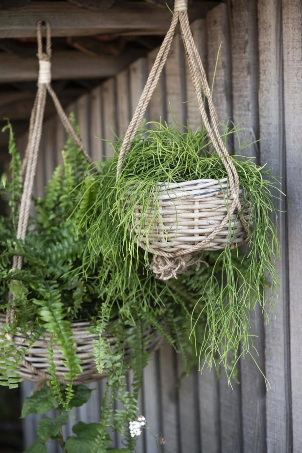 Hängekorb Rattan, H: 13 Cm Ø: 36 Cm – Bild 2