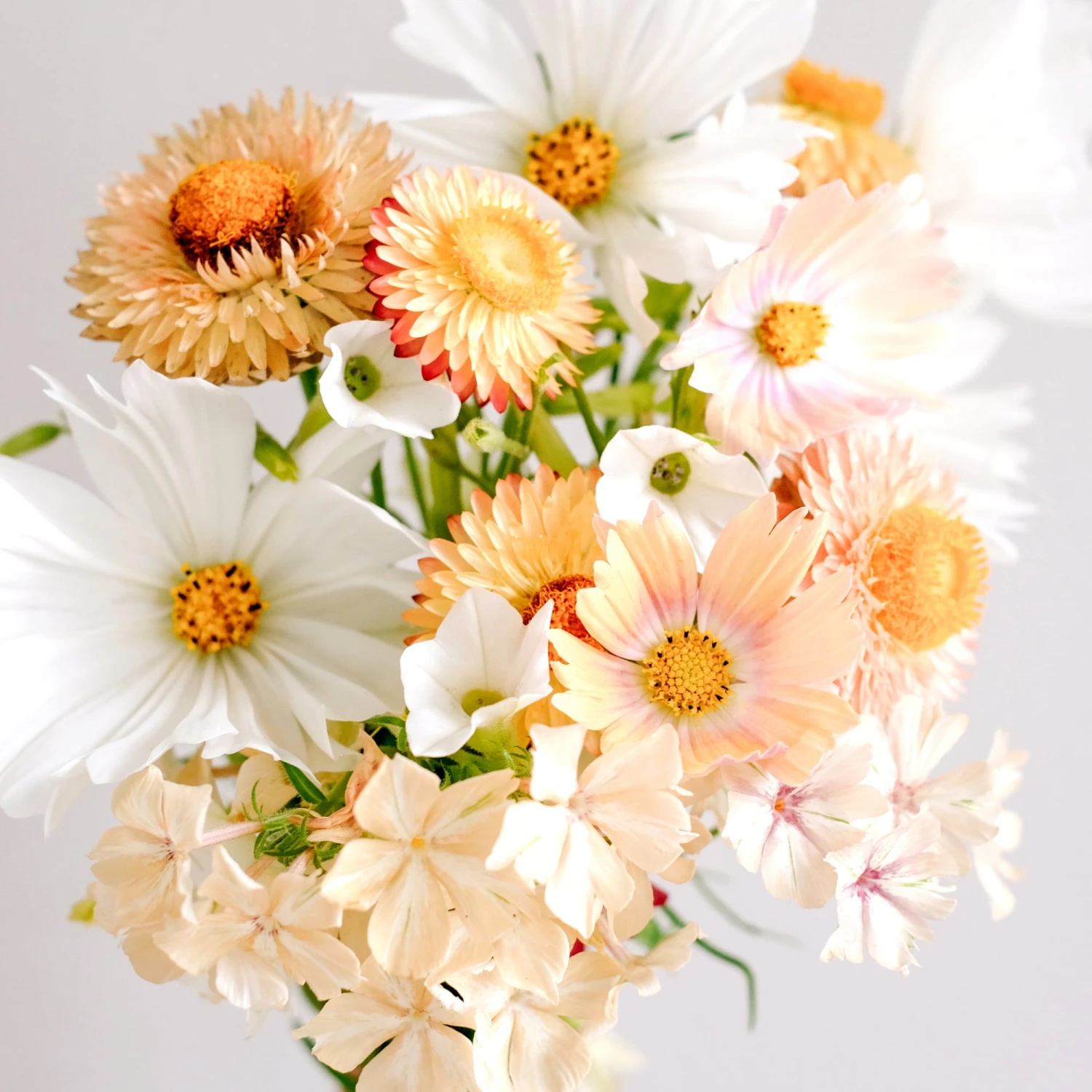 Wild Bouquet "Soft Apricot" – Bild 3