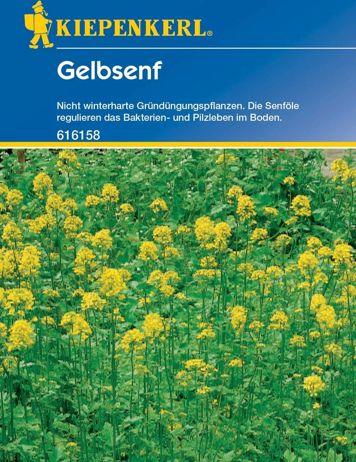 Gelbsenf, 80 G – Bild 2
