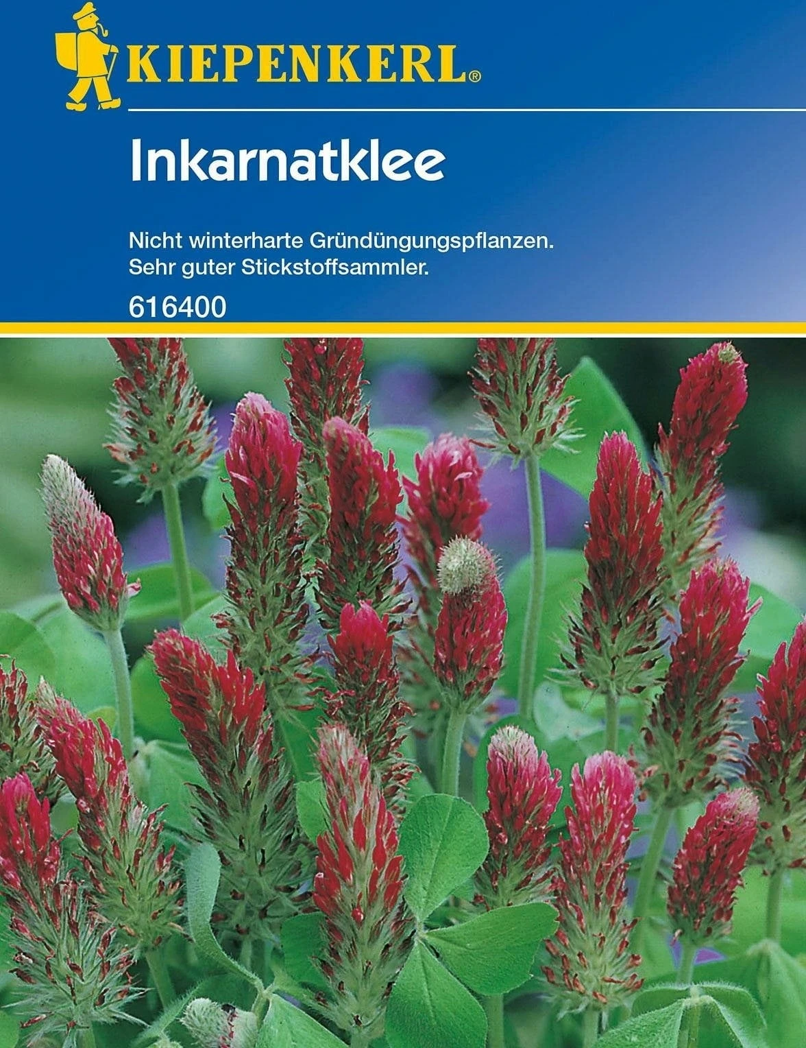 Inkarnatklee, 75 G – Bild 2