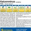 Katzenminze "Felix"