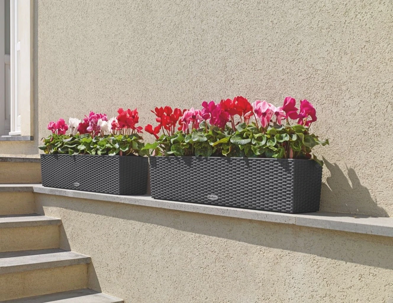 LECHUZA Pflanzgefäß BALCONERA Cottage 80, Weiß – Bild 6