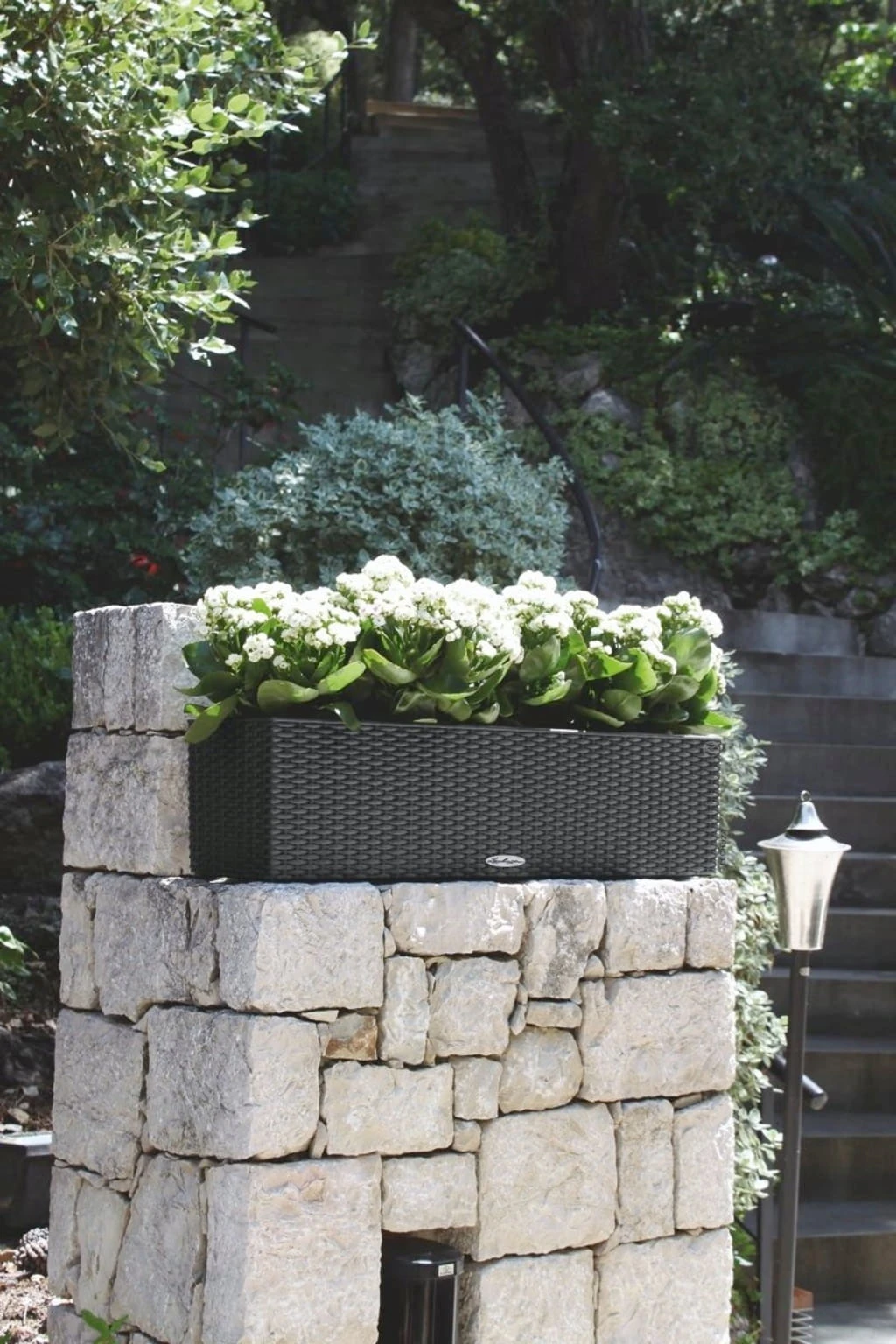 LECHUZA Pflanzgefäß BALCONERA Cottage 80, Weiß – Bild 2