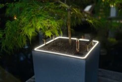 LECHUZA Pflanzgefäß CANTO Stone 30 LED High, Graphitschwarz