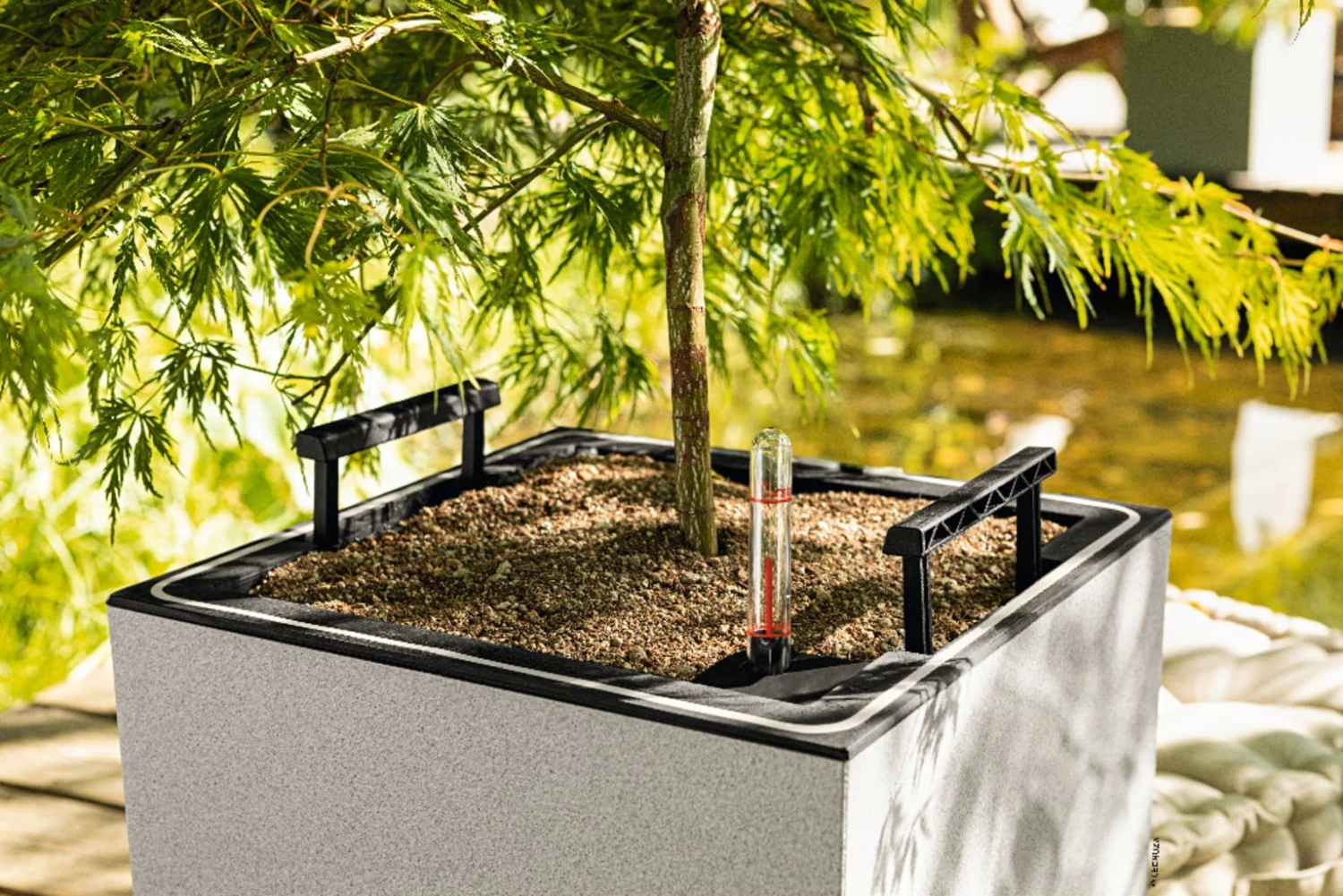 LECHUZA Pflanzgefäß CANTO Stone 40 LED Low, Graphitschwarz – Bild 4