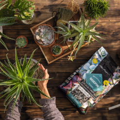 LECHUZA Substrat Basic-PON, 12 Liter