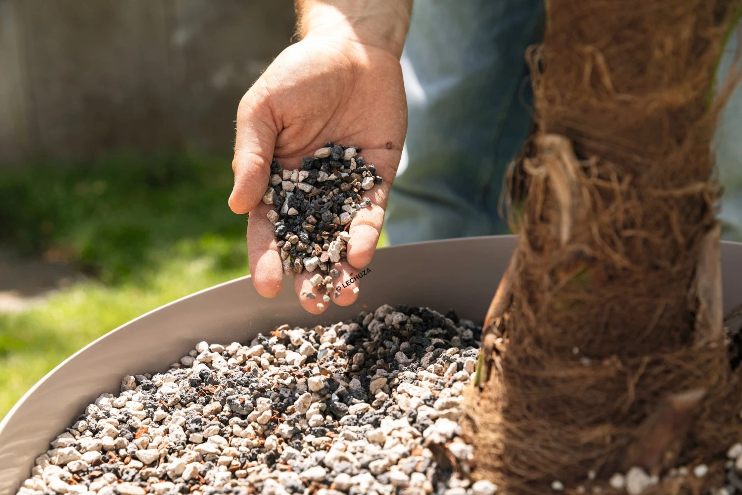 LECHUZA Substrat Palm-PON, 25 Liter – Bild 2