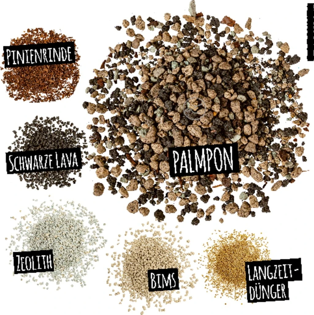 LECHUZA Substrat Palm-PON, 25 Liter – Bild 4