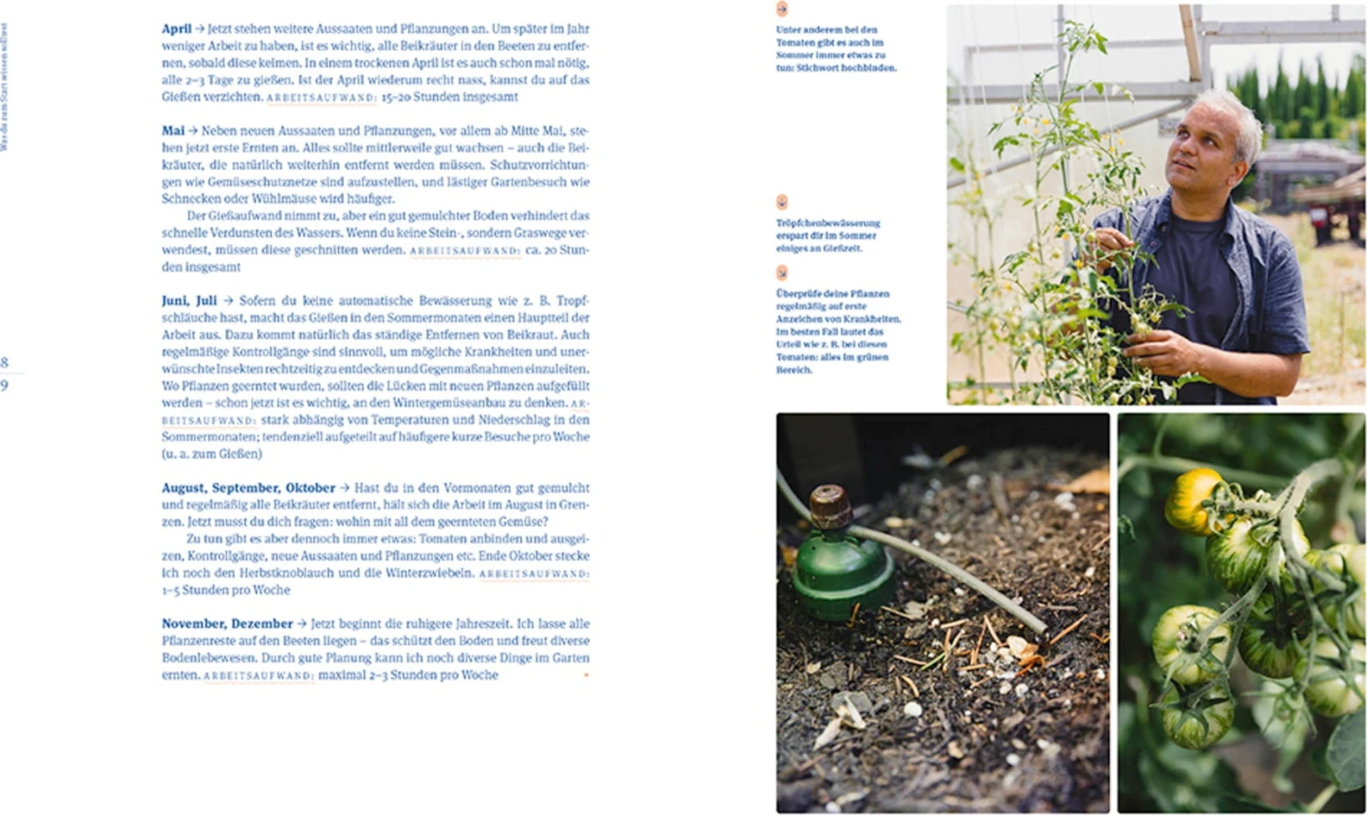 Einfach Mehr Ernten – Bild 7