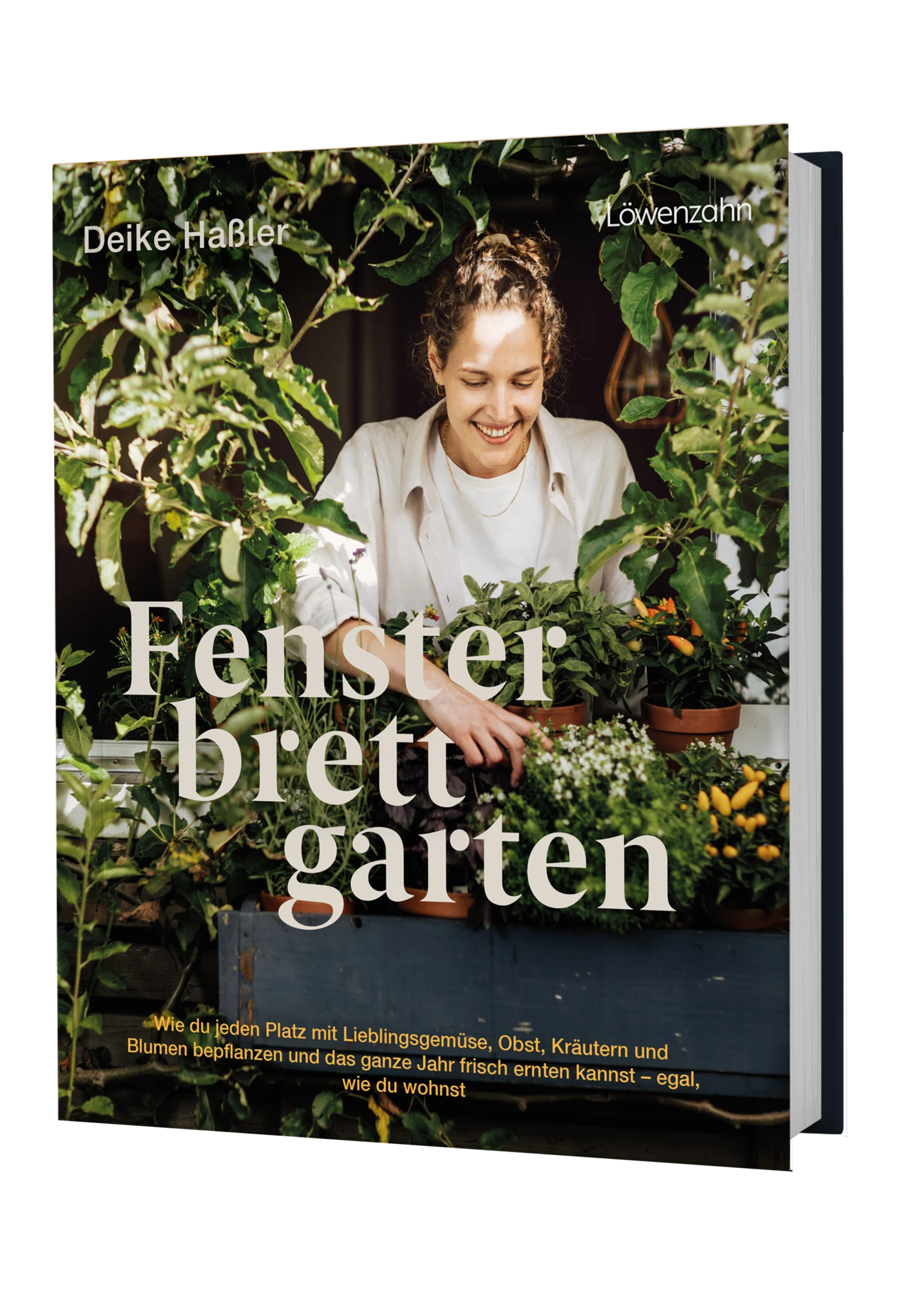 Fensterbrettgarten – Bild 2