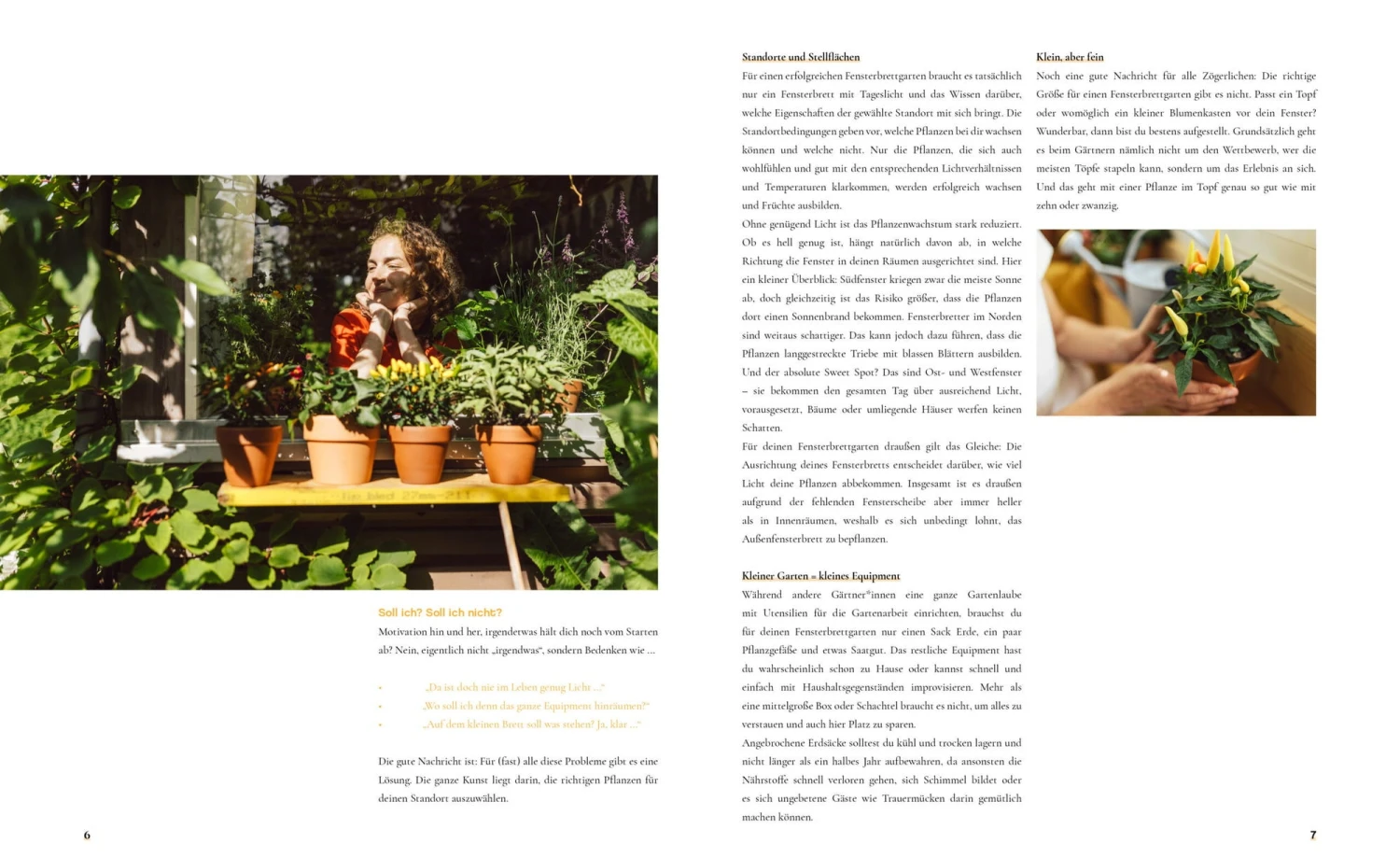 Fensterbrettgarten – Bild 4