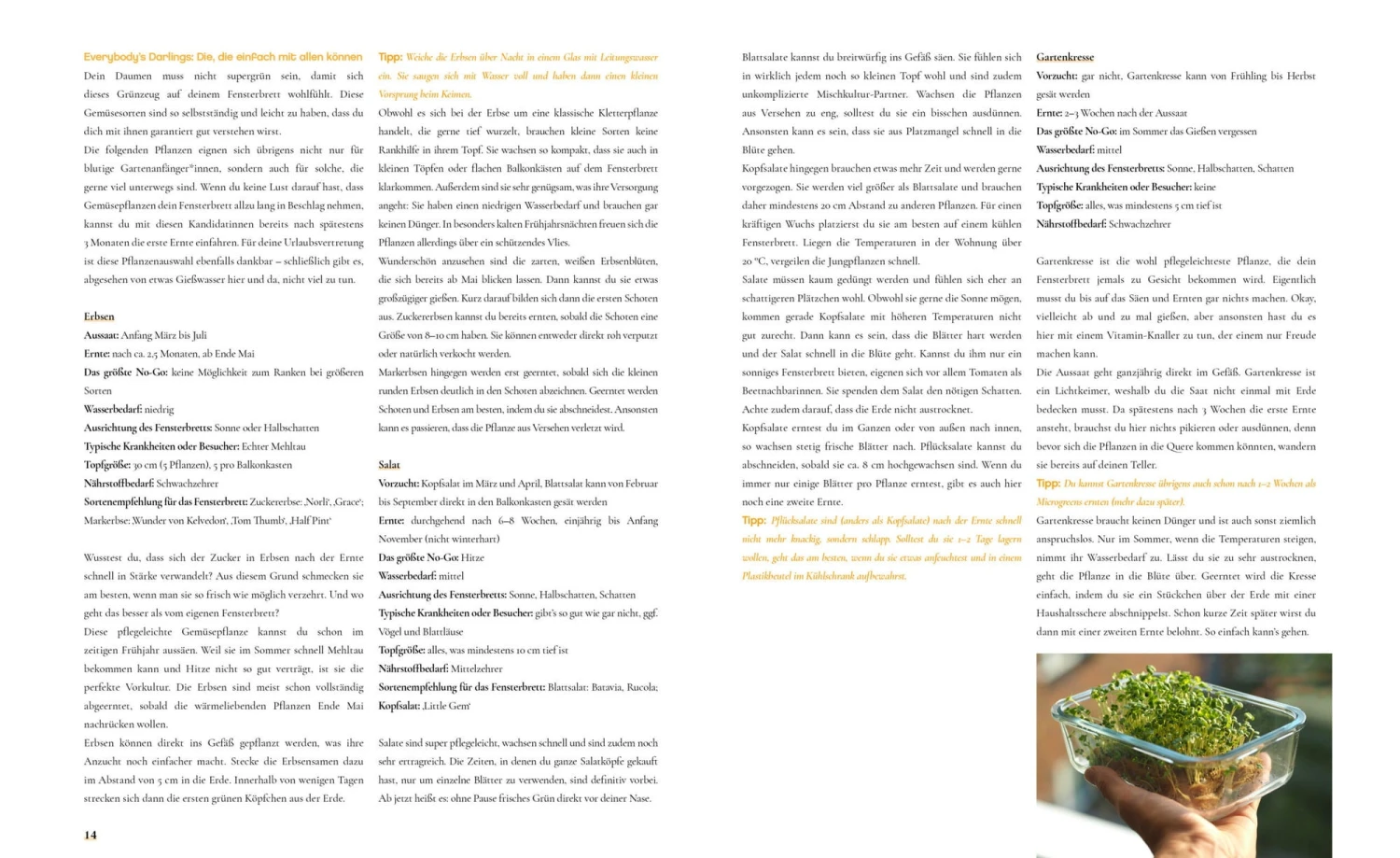 Fensterbrettgarten – Bild 6