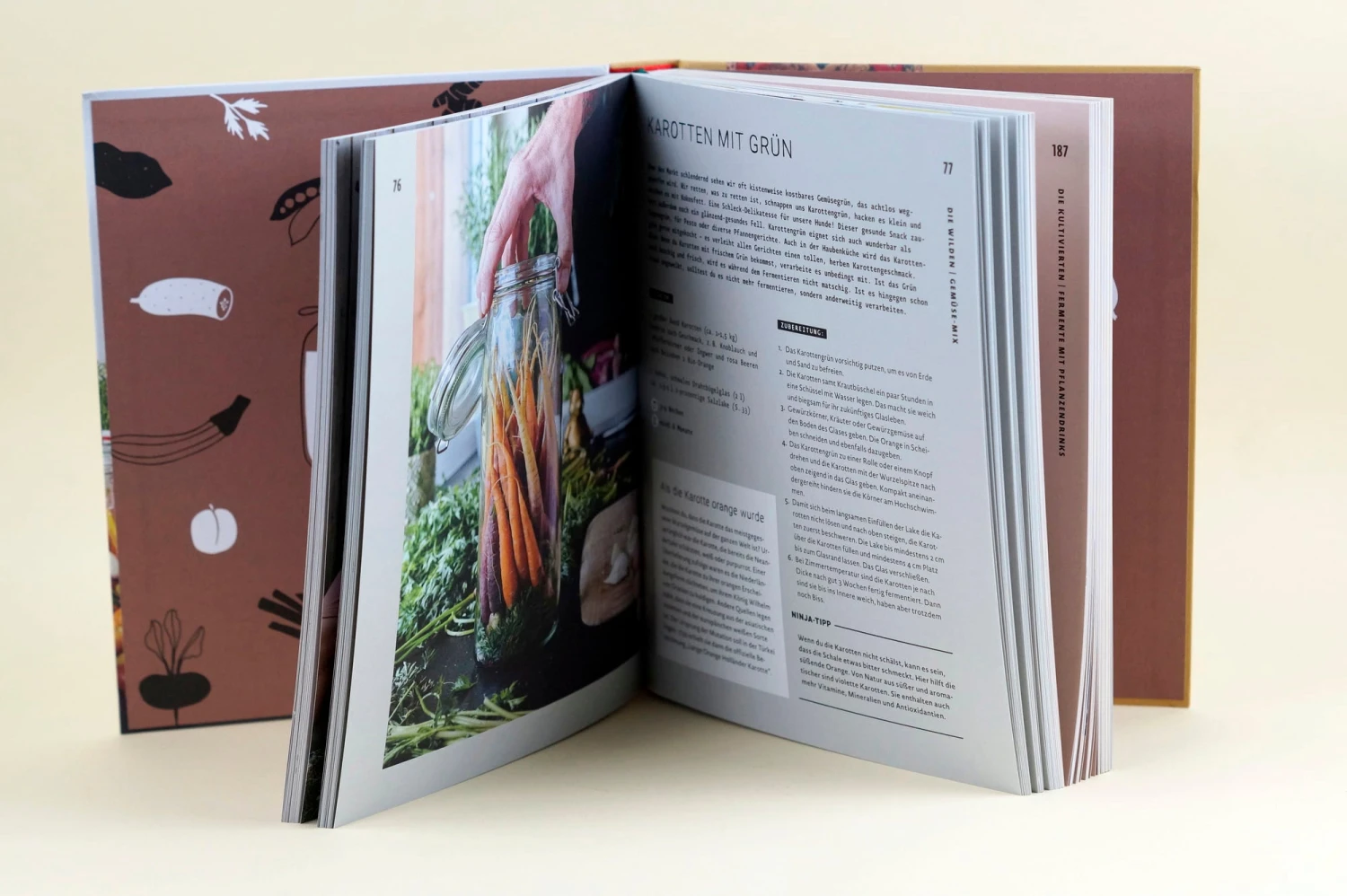 Magic Fermentation – Bild 3