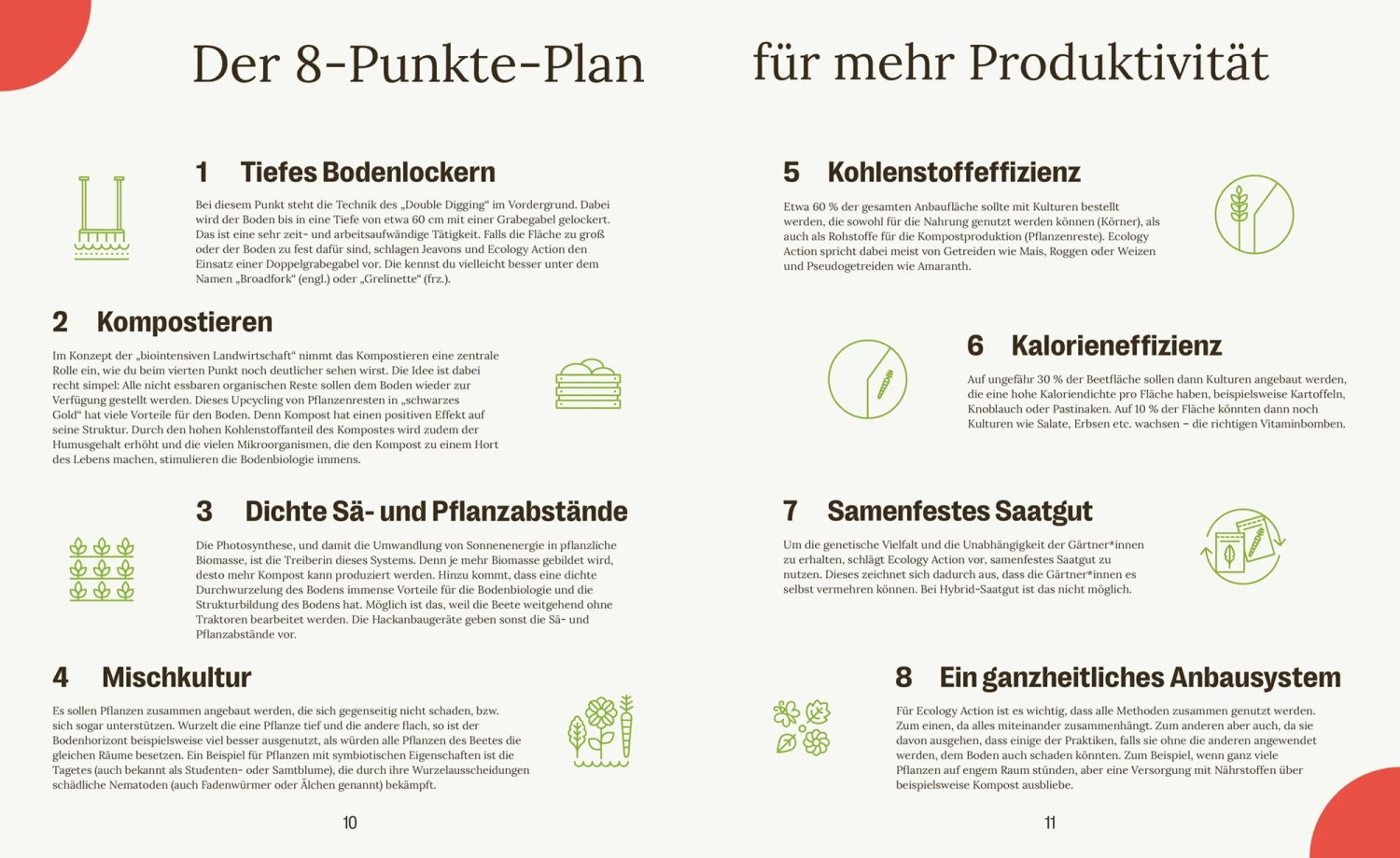 Market Gardening & Agroforst – Bild 7