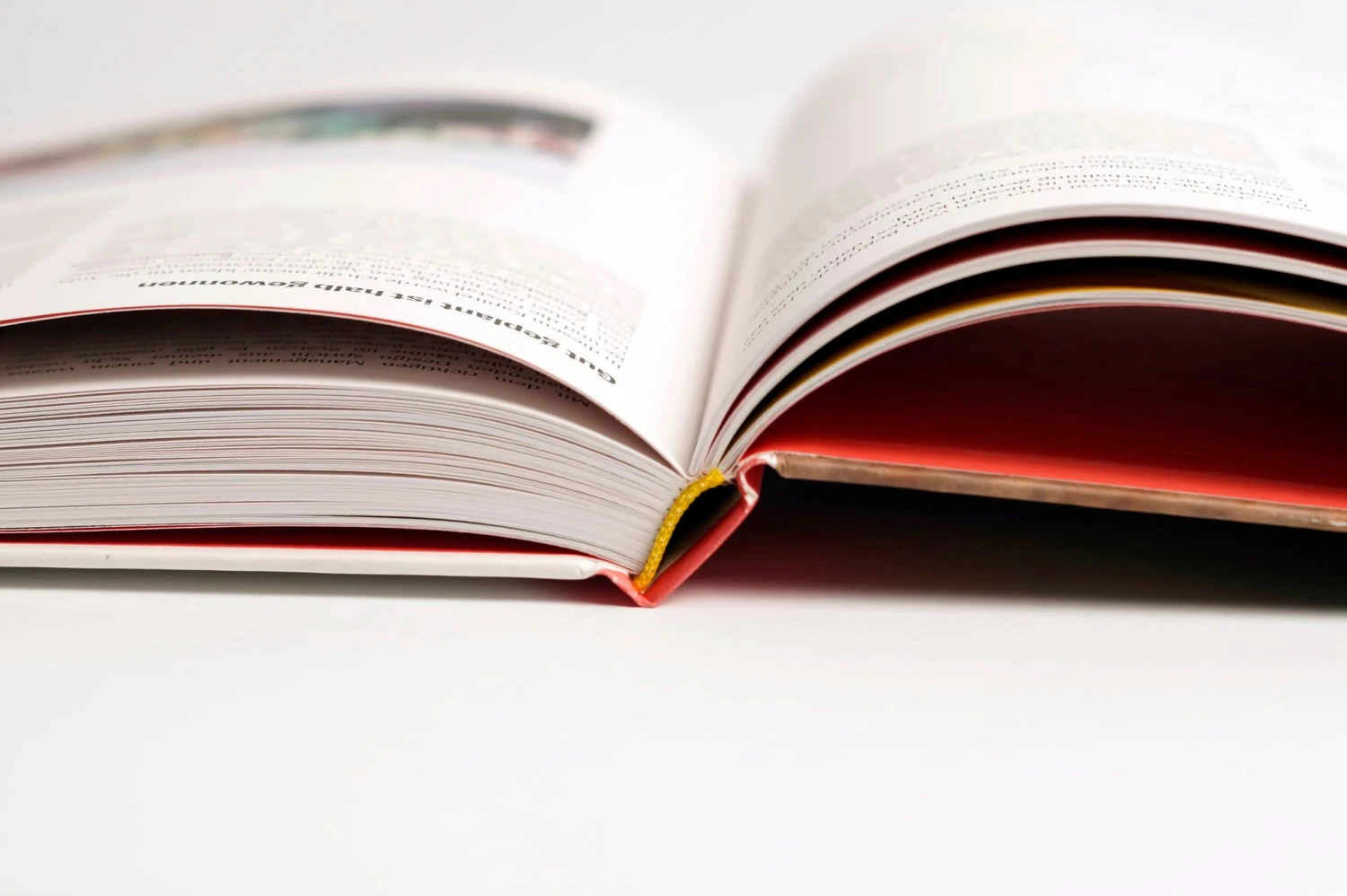 Market Gardening & Agroforst – Bild 9