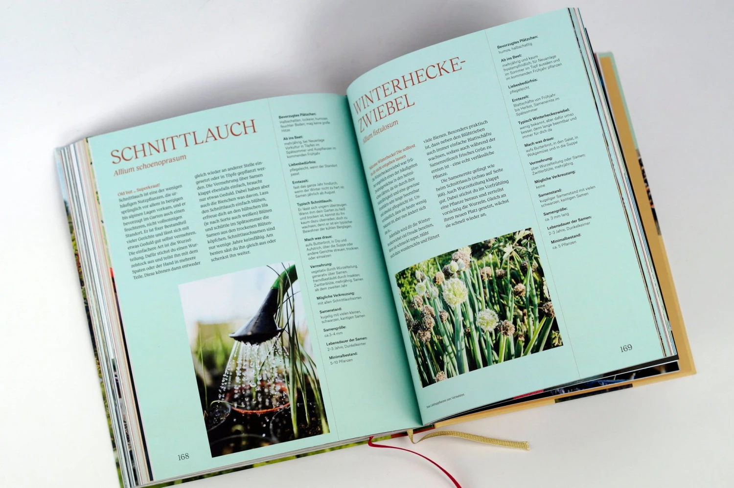 Wie Du Dein Eigenes Saatgut Gewinnst – Bild 9