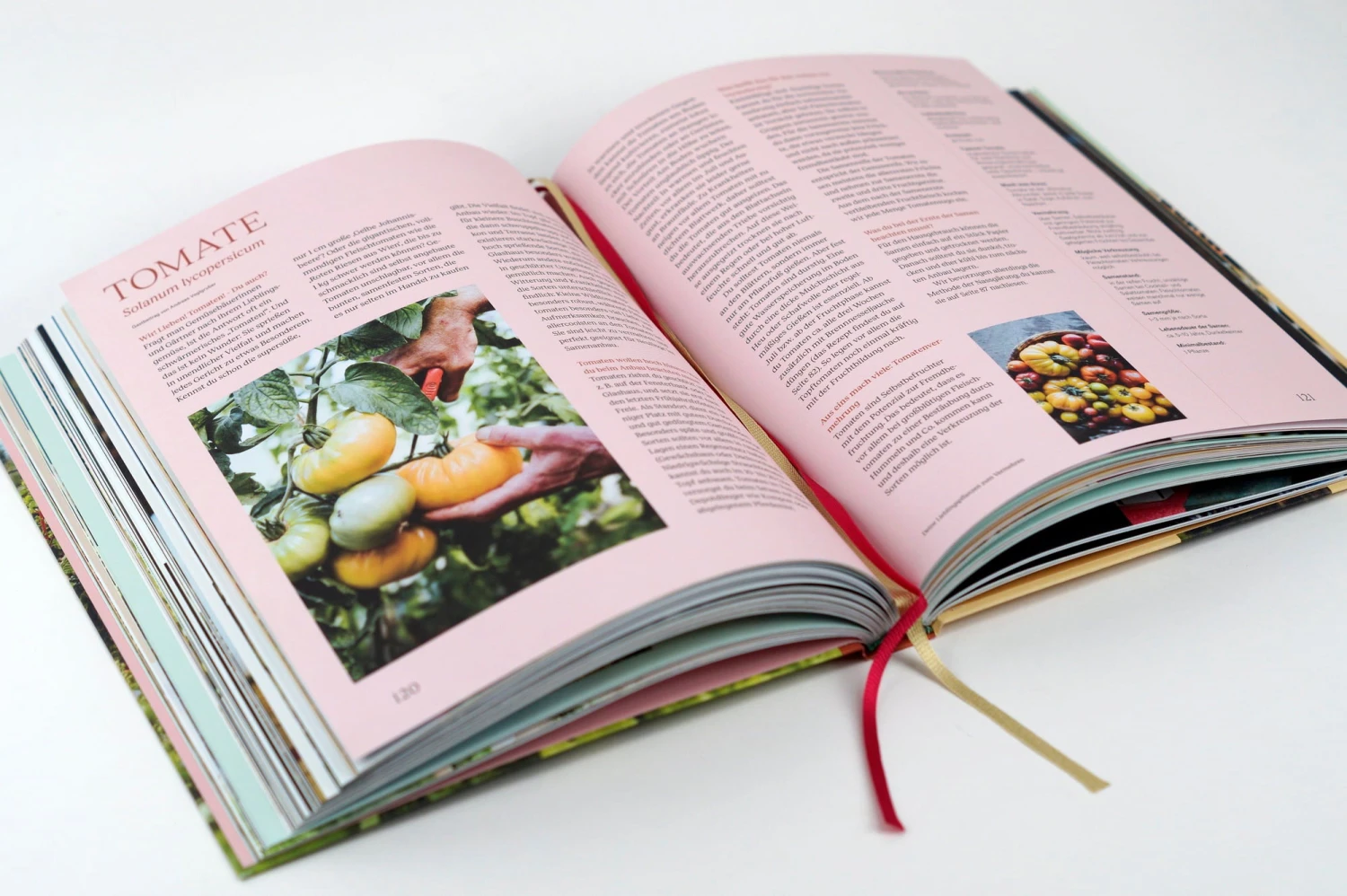 Wie Du Dein Eigenes Saatgut Gewinnst – Bild 11