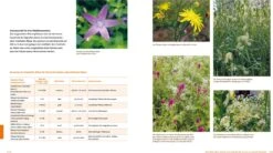 Wo Die Wilden Nützlinge Wohnen