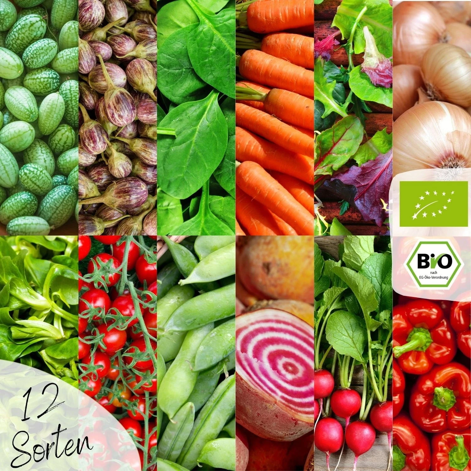 Bio Hochbeet & Balkon Gemüse Samen Set – Bild 5