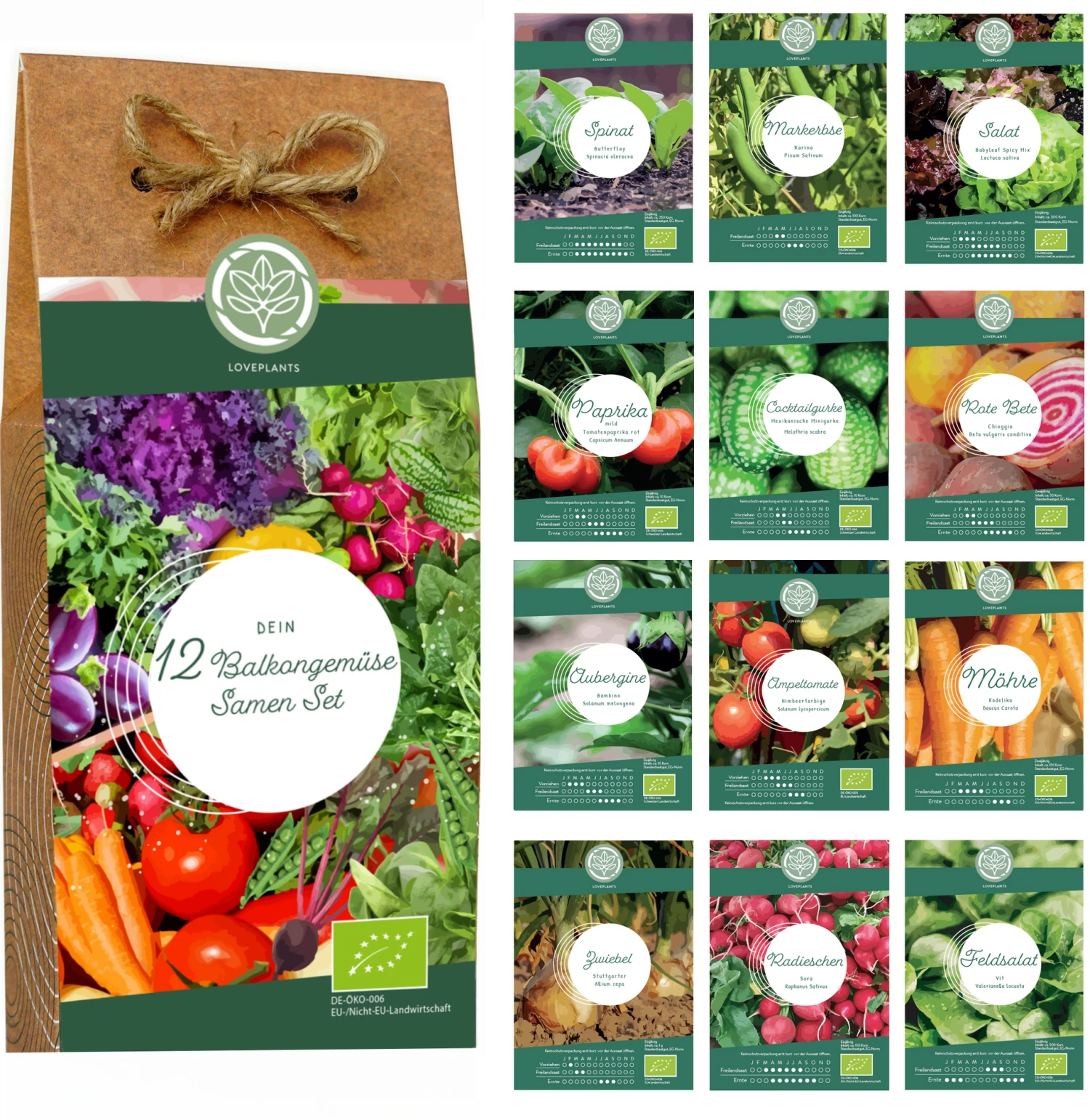 Bio Hochbeet & Balkon Gemüse Samen Set – Bild 4