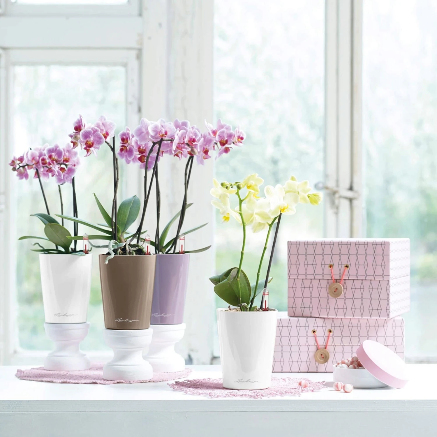 LECHUZA Tischgefäß MINI DELTINI, Weiß – Bild 6