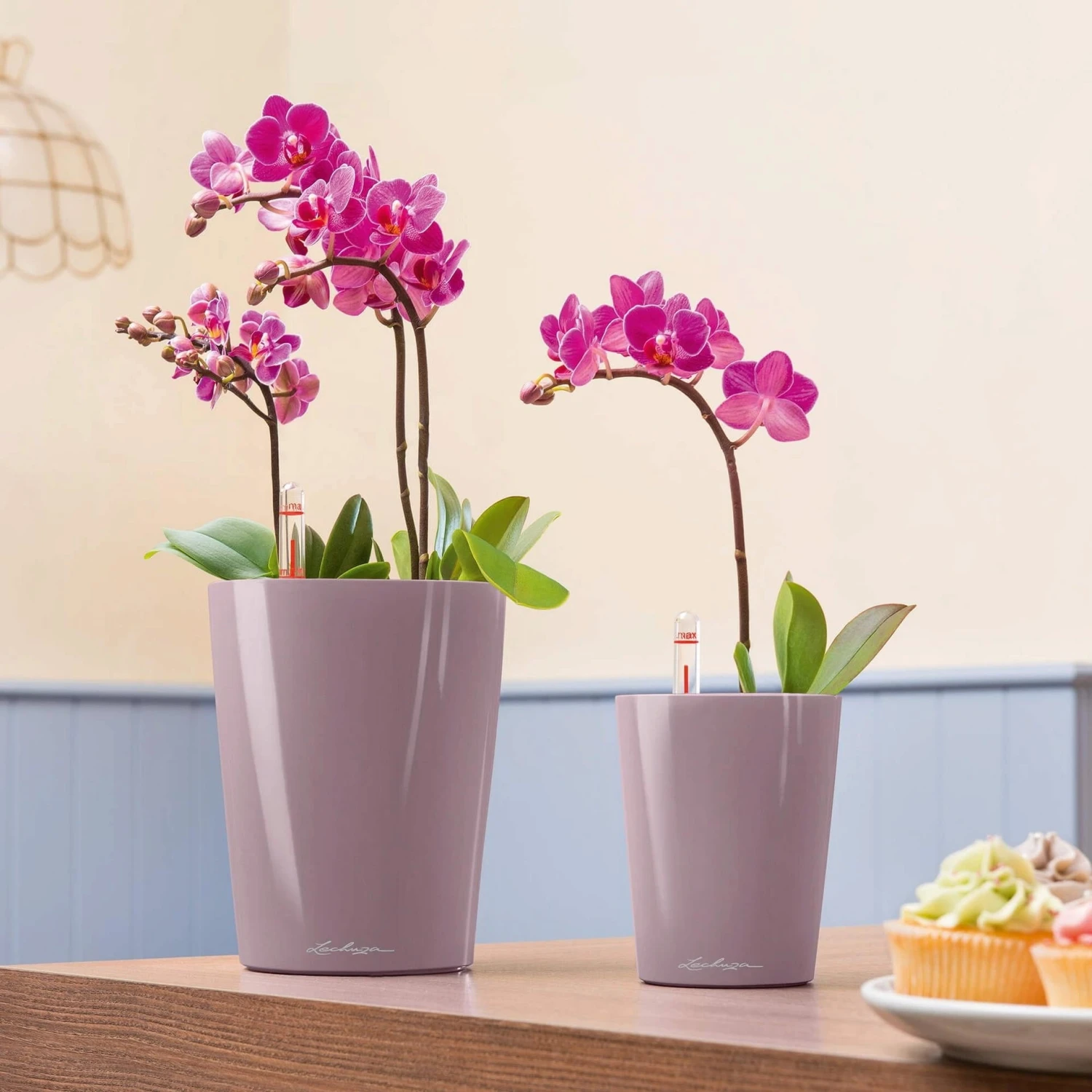 LECHUZA Tischgefäß MINI DELTINI, Weiß – Bild 7