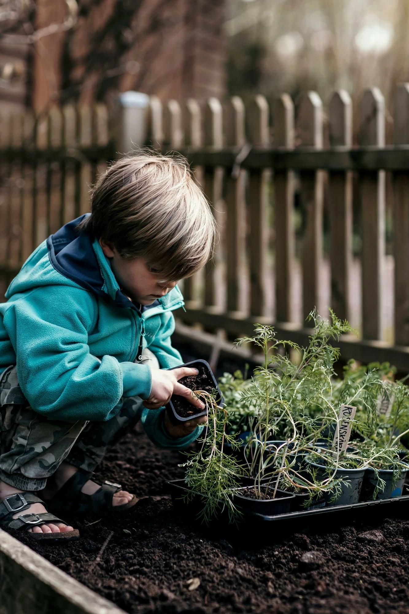 Anzuchtschale Solid 24 X 38 Cm – Bild 4