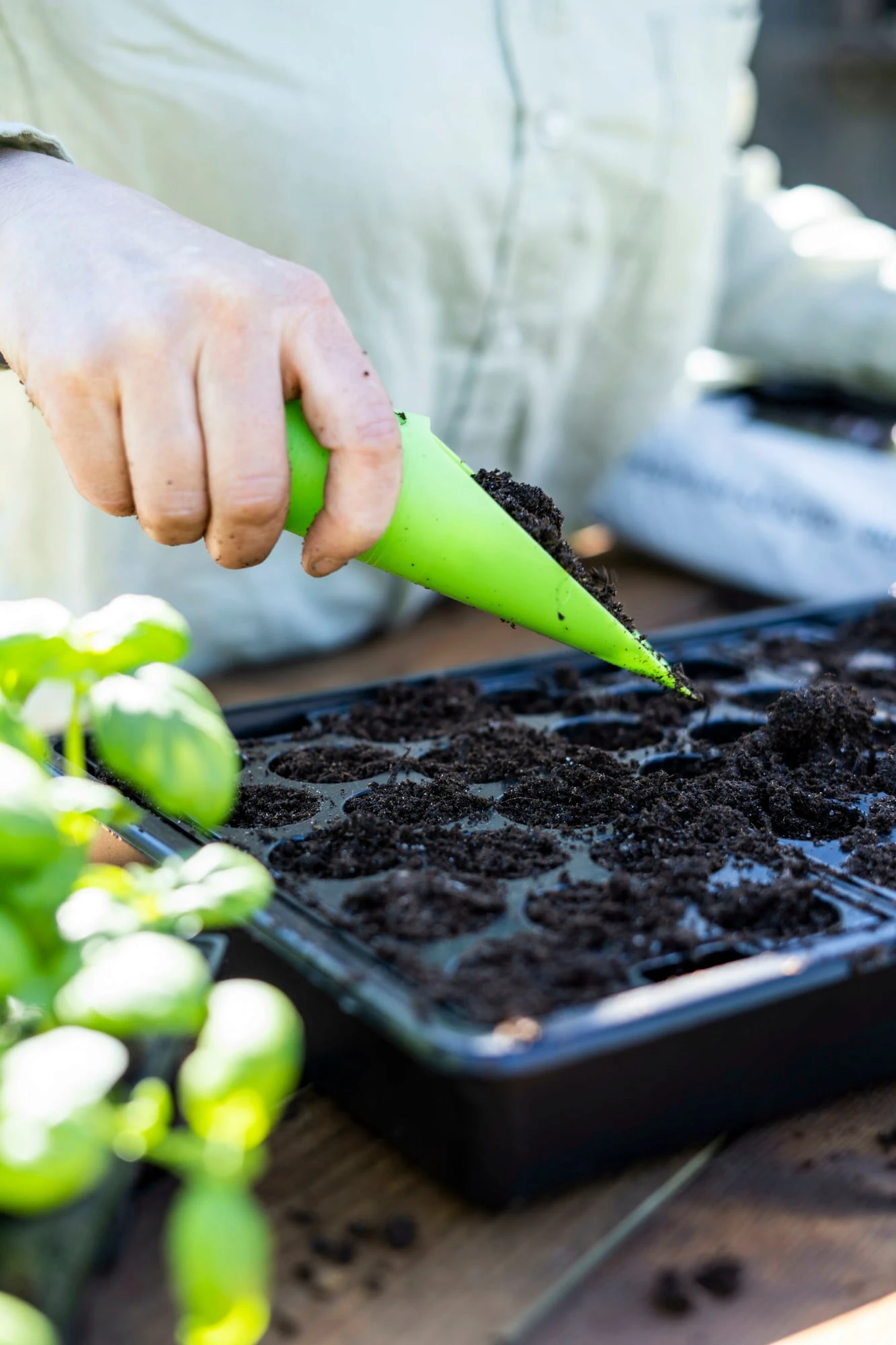 Anzuchtschale Solid 24 X 38 Cm – Bild 5