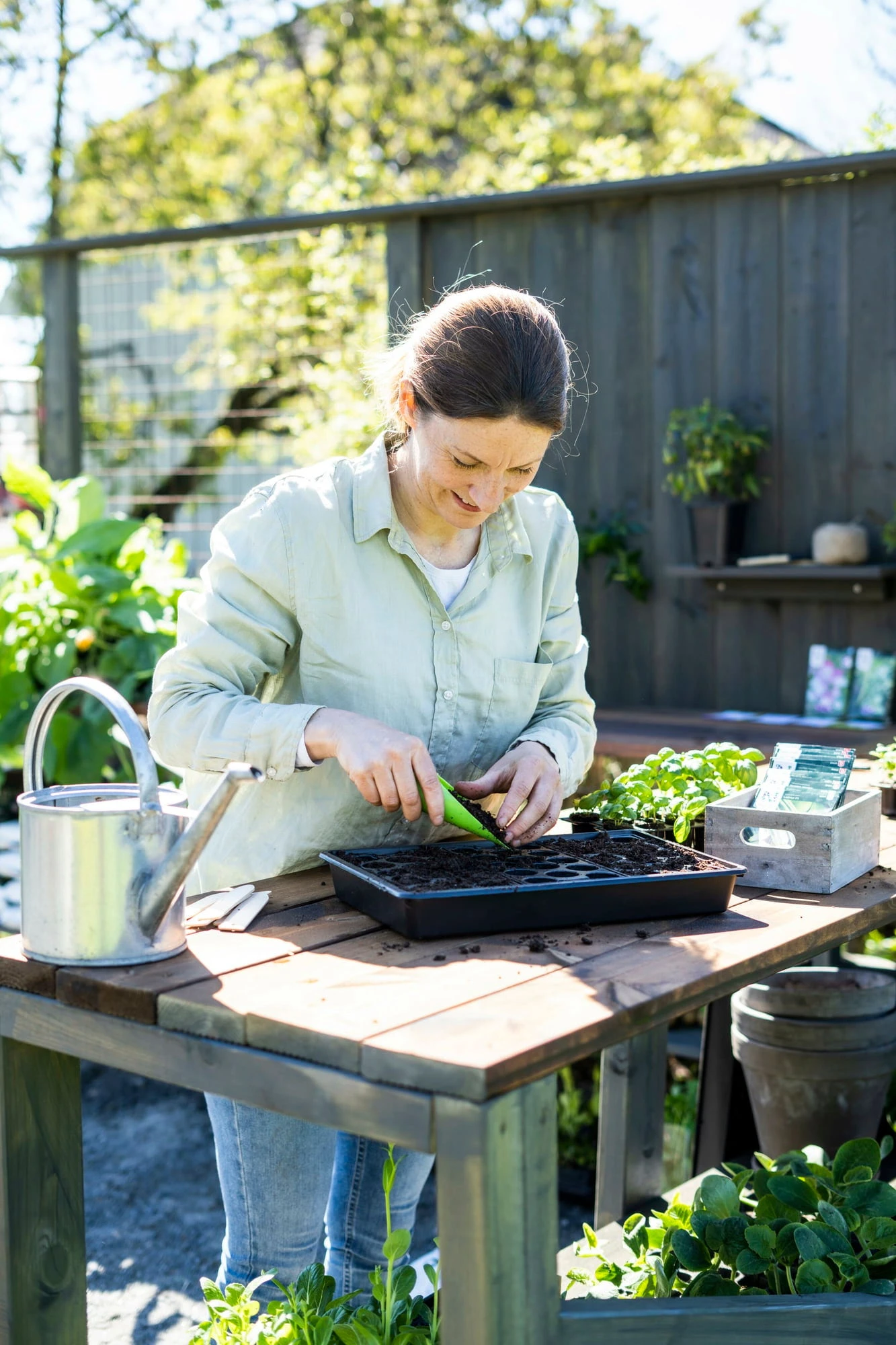 Anzuchtschale Solid 24 X 38 Cm – Bild 3