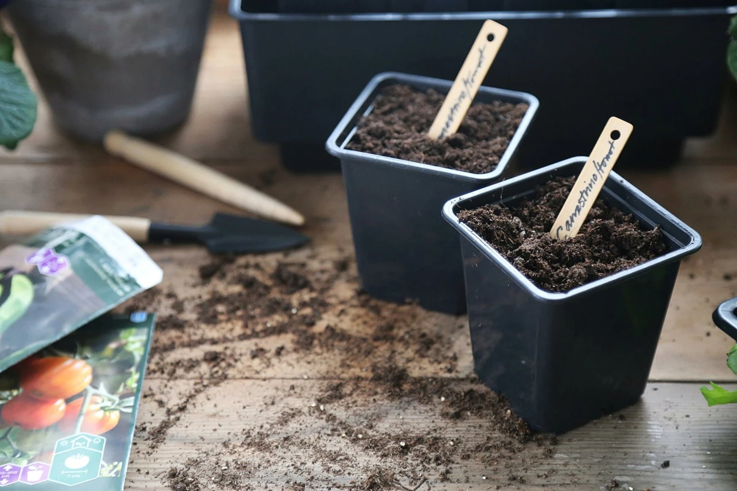 Anzuchttopf Kunststoff 7 Cm, 25 Stück – Bild 3