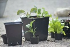 Kunststoff-Topf, 20 Cm