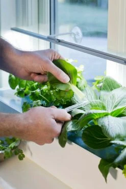 LED-Pflanzen-Wachstums-Leiste, 85 Cm