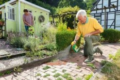 BioKraft Grundstoff Essig, 1 L