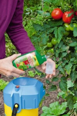 Neudosan® Obst-& GemüseSchädlingsfrei, 250 Ml Reg. Nr. 2622-901