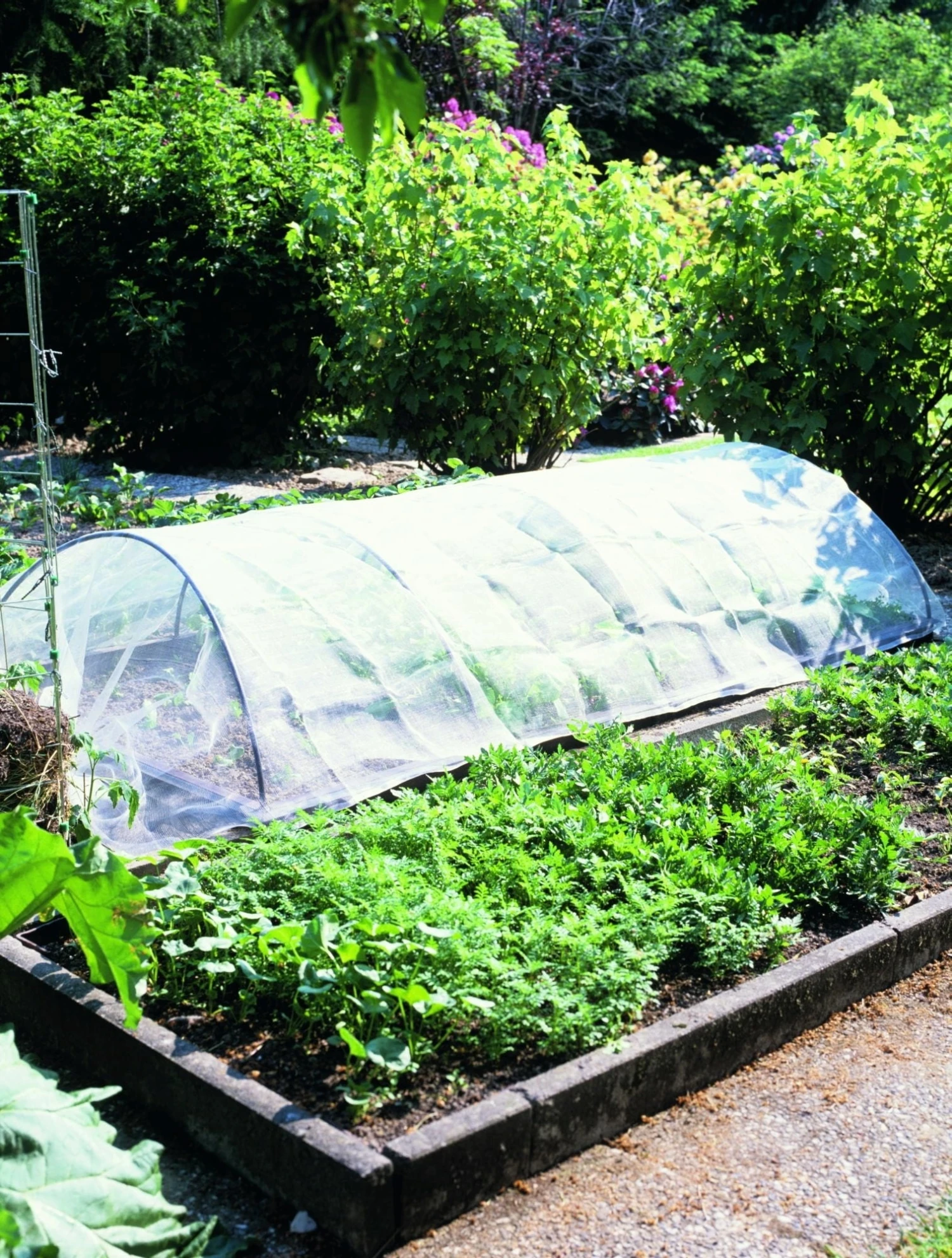 SchädlingsschutzNetz – Bild 2