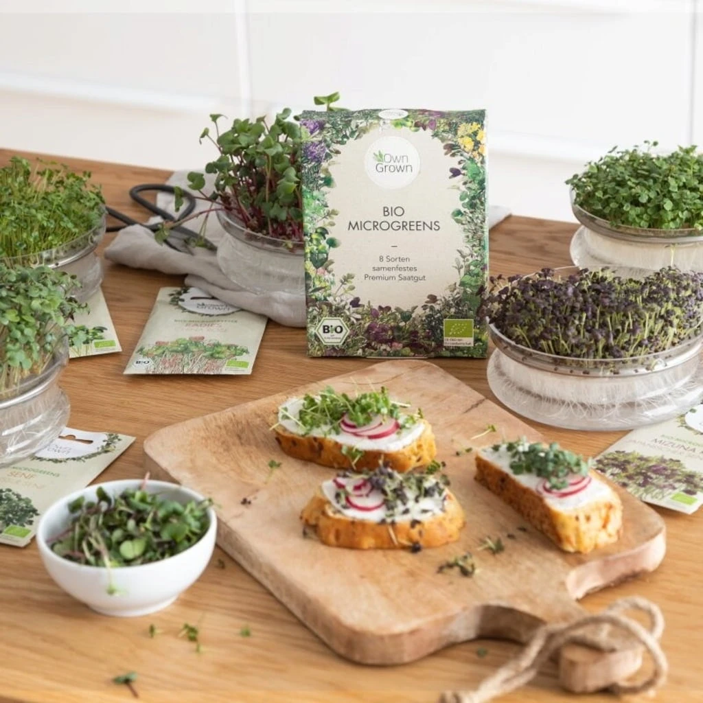 Bio Microgreens 8er Set – Bild 3