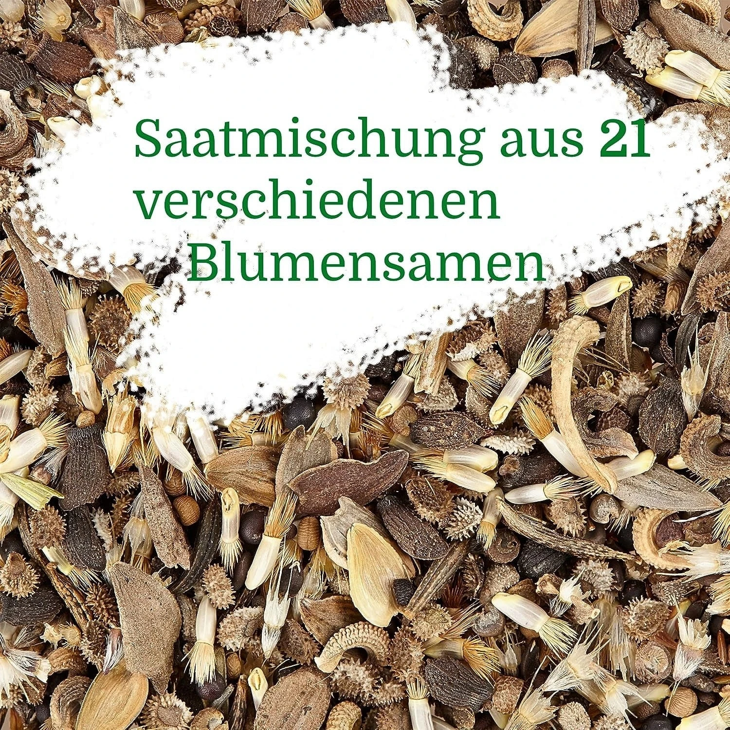 Blumenmischung "Insekteninsel" – Bild 7